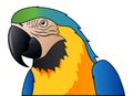 Cute parrot blue macaw cartoon isolated Royalty Free Stock Photo