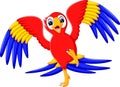 Cute parrot cartoon