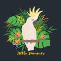 Cute parrot cockatoo on a floral background