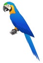 Cute parrot macaw cartoon isolated Royalty Free Stock Photo