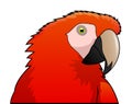 Cute parrot red macaw cartoon isolated Royalty Free Stock Photo