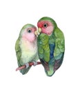 Cute parrots couple illustration. Two animals in love Royalty Free Stock Photo