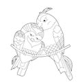 Cute parrots. Doodle style, black and white background. Funny birds, coloring book pages. Hand drawn illustration in zentangle Royalty Free Stock Photo