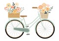 Cute pastel color bicycle with flowers in basket and crate Royalty Free Stock Photo