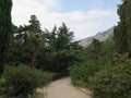 Path in the mountains