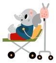 Cute patient animal. Sick cartoon character. Elephant on medical gurney with dropper. Injured creature in hospital