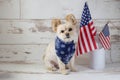 Patriotic Puppy with American Flags in background