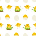 Cute pattern with cartoon yellow chickens Royalty Free Stock Photo