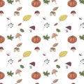 Cute pattern with orange pumpkin, yellow leaves, mushrooms, green leaf, nut, oak, acorn. For the season of harvest or Thanksgiving