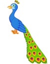 Cute peacock cartoon