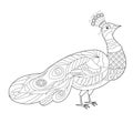Cute peacock. Doodle style, black and white background. Funny bird, coloring book pages. Hand drawn illustration in zentangle Royalty Free Stock Photo