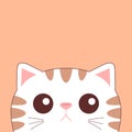 Cute peeking tabby cat face. Curious cat. Cute cartoon character