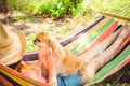 Nice pekingese dor rest at nature, pet lifestyle Royalty Free Stock Photo