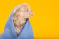 Cute Pekingese dog wrapped in towel on yellow background, space for text. Pet hygiene Royalty Free Stock Photo