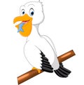 Cute pelican cartoon Royalty Free Stock Photo