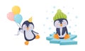 Cute Penguin Arctic Animal Carrying Bunch of Balloons and Sitting on Ice Plate Vector Set Royalty Free Stock Photo