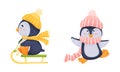 Cute Penguin Arctic Animal in Hat and Scarf Sledging Vector Set Royalty Free Stock Photo