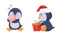 Cute Penguin Arctic Animal Holding Heart and Unwrapping Gift Box Vector Set Royalty Free Stock Photo