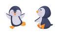 Cute Penguin Arctic Animal Waddling and Sitting Vector Set Royalty Free Stock Photo