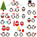 Cute penguin boy and girl set isolated on white background Royalty Free Stock Photo