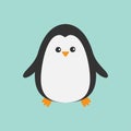 Cute penguin. Cartoon character. Arctic animal collection. Baby bird. Flat design Royalty Free Stock Photo