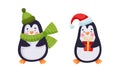 Cute penguin characters set. Adorable penguins in winter clothing cartoon vector illustration Royalty Free Stock Photo