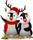 Cute penguin christmas cartoon couple with love Royalty Free Stock Photo