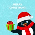 Cute penguin with gift box and felicitation Merry Christmas