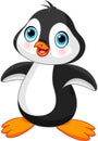 Cute Penguin Royalty Free Stock Photo