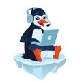 Cute penguin with a laptop.