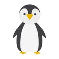 Cute penguin. Polar bird from cold climate