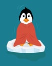 Cute penguin in a red blanket on a drifting ice floe