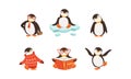 Cute Penguin Sitting on Ice Plate and Reading Book Vector Set