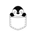 Cute penguin sitting in pocket. Animal face in Scandinavian style for kids t-shirts, wear, nursery decoration, greeting cards, Royalty Free Stock Photo