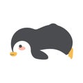 Cute penguin sleep animal cartoon