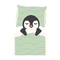 Cute penguin sleeping in blanket