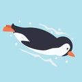 Cute penguin swimming cartoon vector