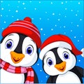 Cute penguins cartoon