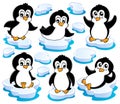 Cute penguins collection