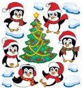 Cute penguins collection