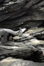 Penguins colony on rocks in aquarium interior in Lisbon Oceanarium