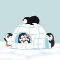 Cute  Penguins Igloo ice house in winter Royalty Free Stock Photo