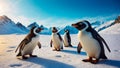 Cute penguins the north banner wildlife antarctica