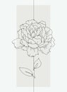 Cute peony flower in line art style on pastel background. Vector illustration