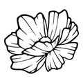 Cute peony garden flower icon, hand drawn style