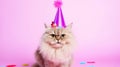 Cute Persian Cat with a Smiling Face in Party Cone AI Generated