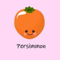 Cute persimmon character. Ripe orange persimmon fruit isolated on a pink background. Closeup of fresh kaki on navy blue. Kaki set