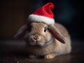 Cute Pet Rabbit In Santa Claus Hat
