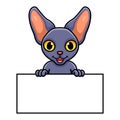 Cute peterbald cat cartoon holding blank sign