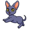 Cute peterbald cat cartoon jumping